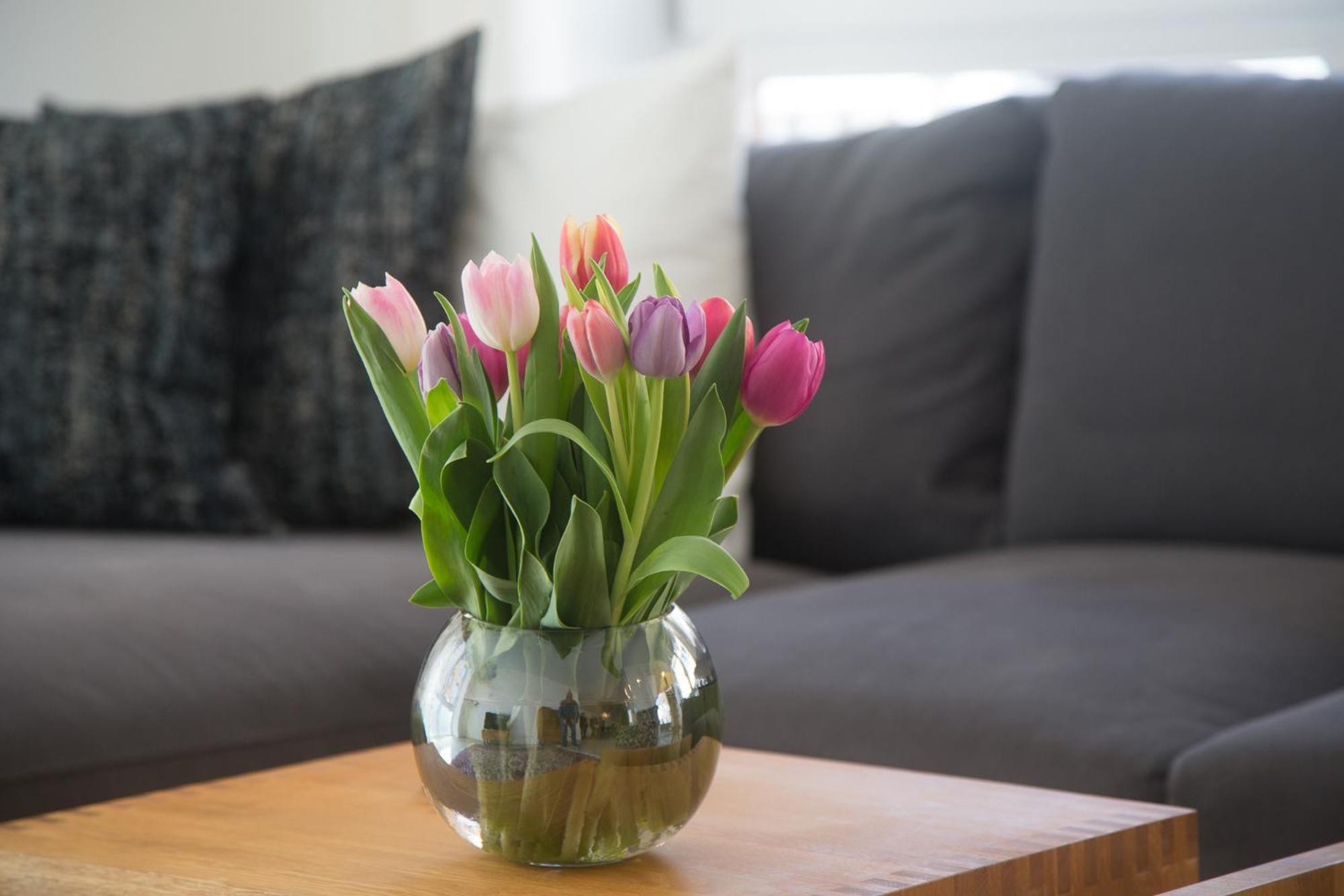 Goldsprotte Apartment Eckernfoerde Ngoại thất bức ảnh